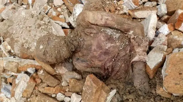 بیانیه رضا پهلوی درباره مومیایی منتسب به رضاشاه