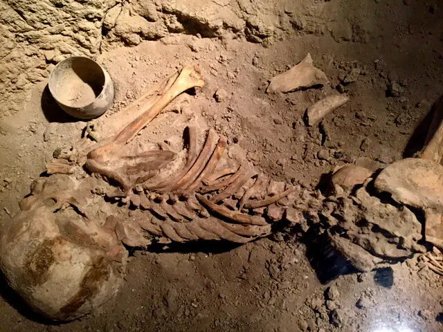 «اسکلت باردار» کجاست؟