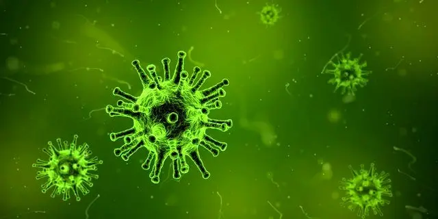 شیوع یک اپیدمی ویروسی در شمال کشور