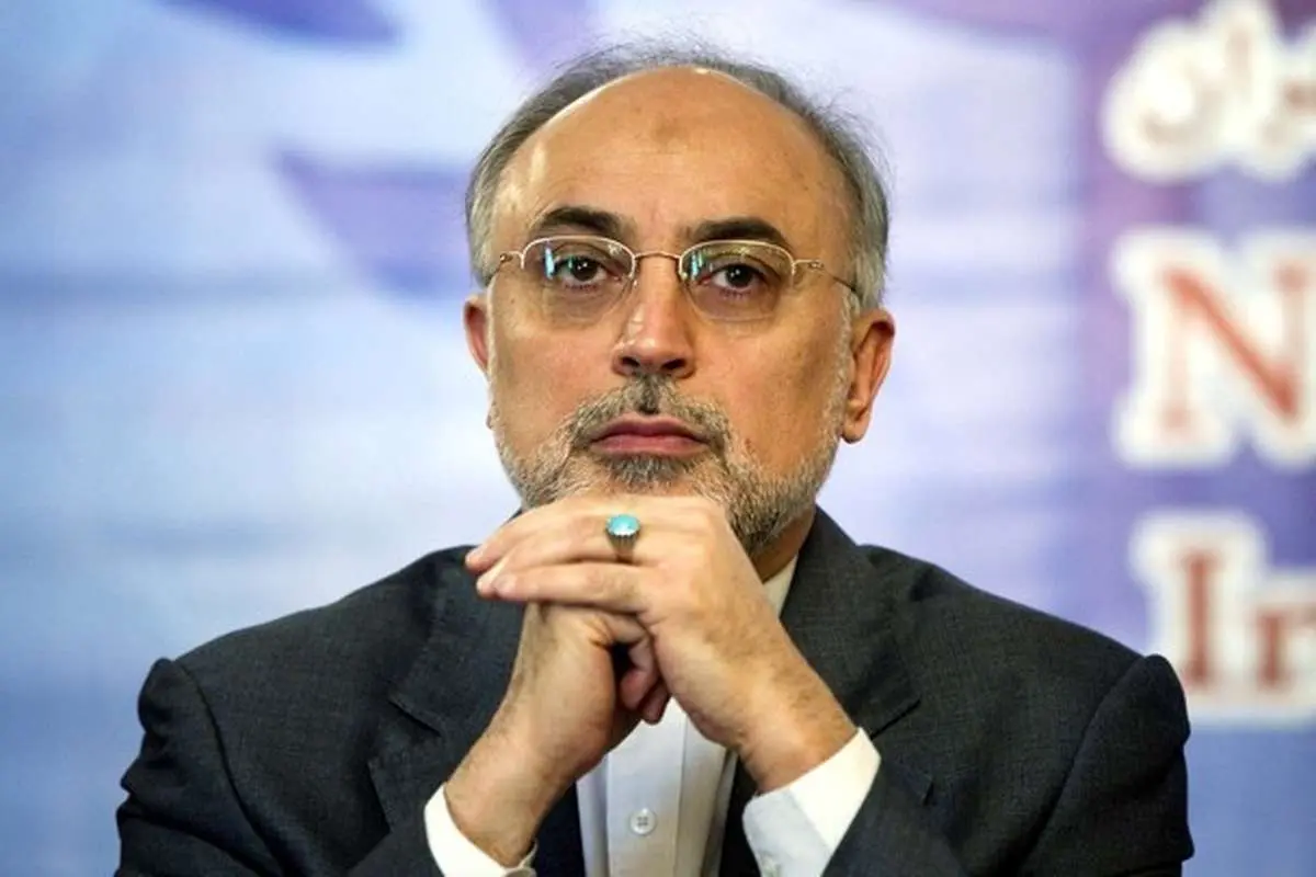 قبل و بعد از برجام به روایت «صالحی»
