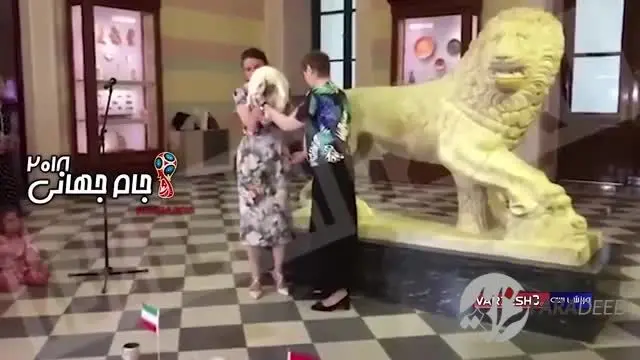 (ویدئو) برد ایران در برابر مراکش، پیشگویی جدید گربه معروف