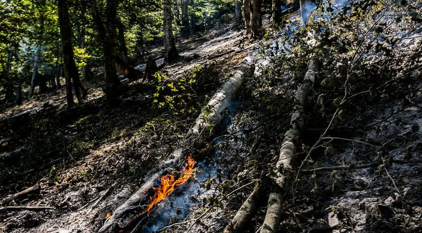 (تصاویر) آتش‌سوزی در جنگل‌های «چلاو» مازندران