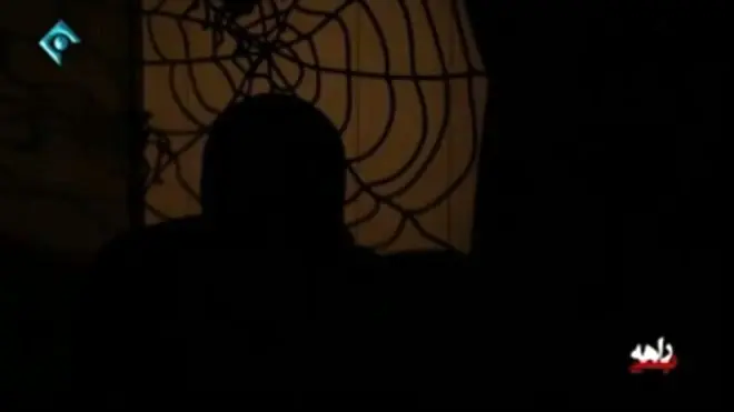 واکنش‌ها به بازداشت و پخش اعترافات چند "شاخ" اینستاگرام