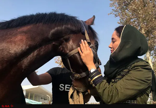 بهاره افشاری بیلبوردهای اهدایی شهرداری تهران را پس داد