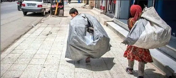 موش انگشتش را در زباله گردی خورده!