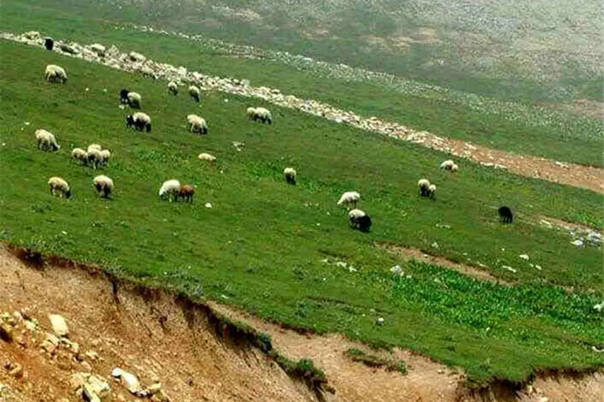 مراتع ایران به قطریها اجاره داده شده است؟