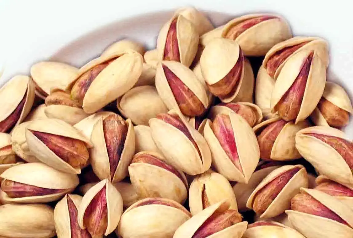 سقوط چشمگیر تولید پسته در ایران