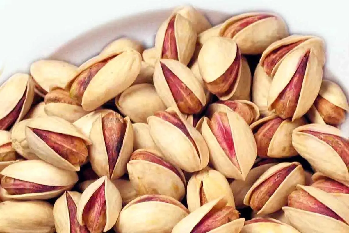 سقوط چشمگیر تولید پسته در ایران