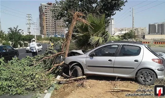(تصاویر) برخورد شدید پژو ۲۰۶ با درخت
