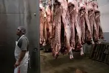 شوک به بازار گوشت قرمز