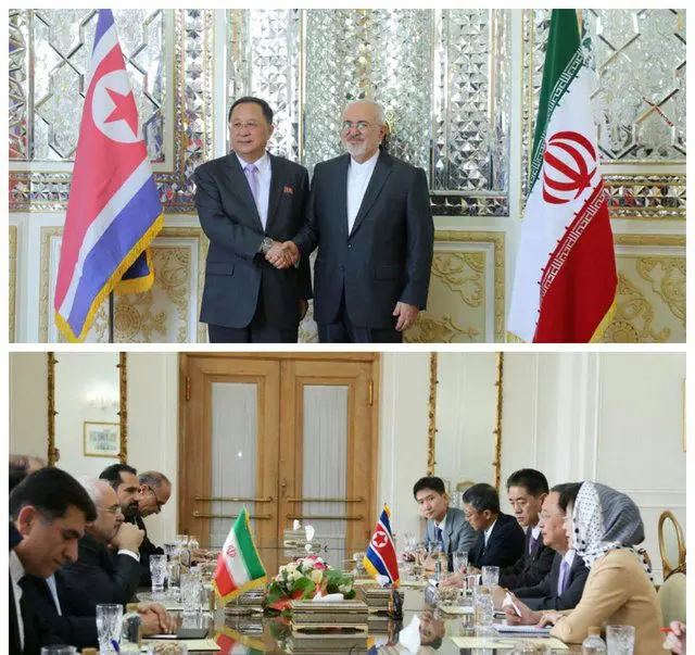 دیدار وزیر خارجه کره شمالی با ظریف