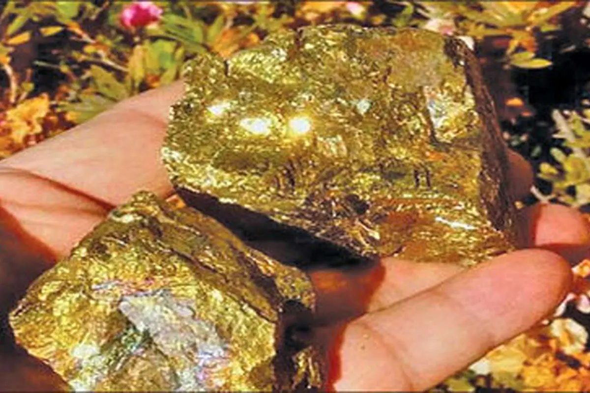 ایران به سالی ۸ تن طلا میرسد