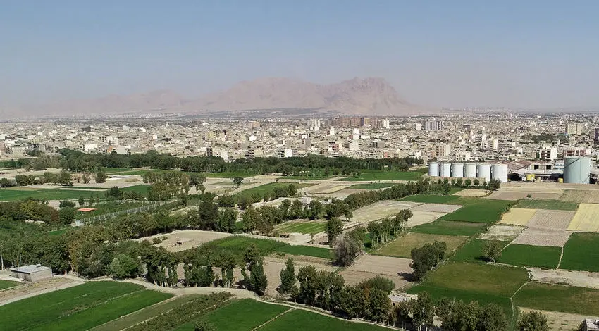 (تصاویر) برنجکاری در کنار زاینده رود خشک!