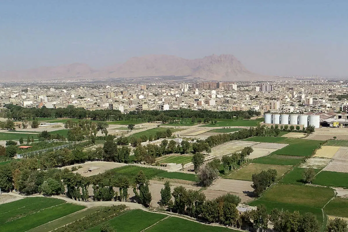 (تصاویر) برنجکاری در کنار زاینده رود خشک!