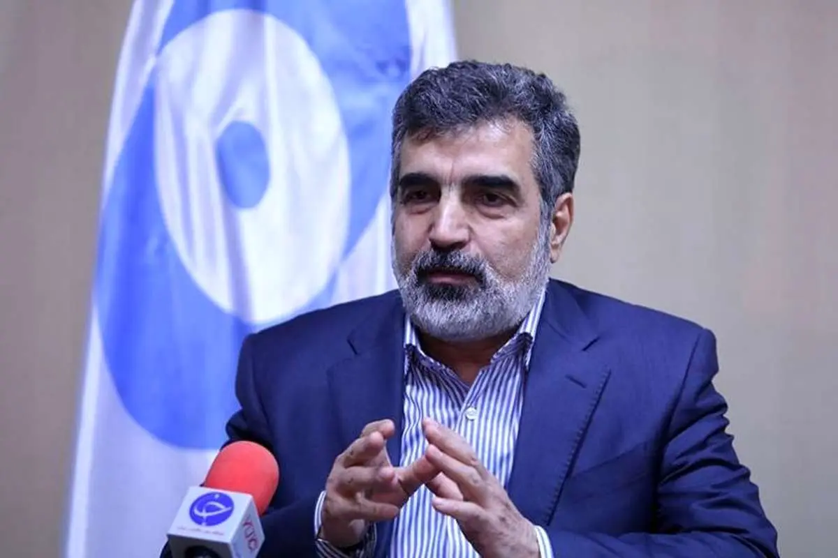 کمالوندی: ماندن در برجام بهتر از نماندن در آن است