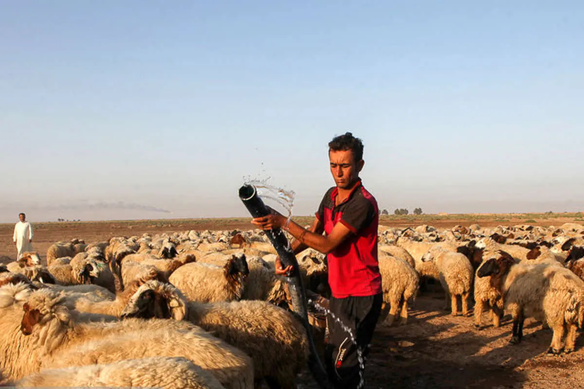 (تصاویر) بحران آب در روستاهای هویزه
