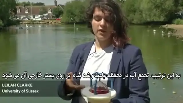 (ویدئو) مزرعه شناور