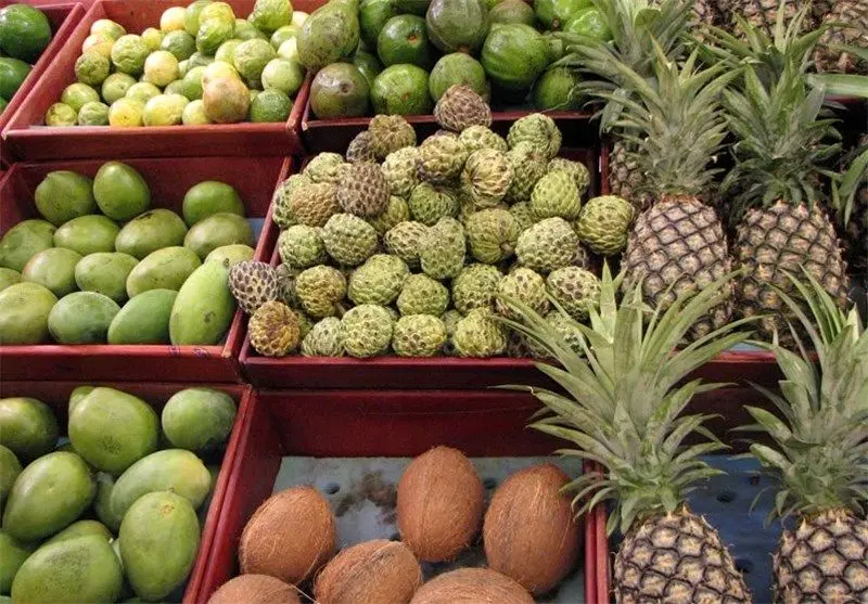 تجارت میوه‌های ممنوعه در فضای مجازی