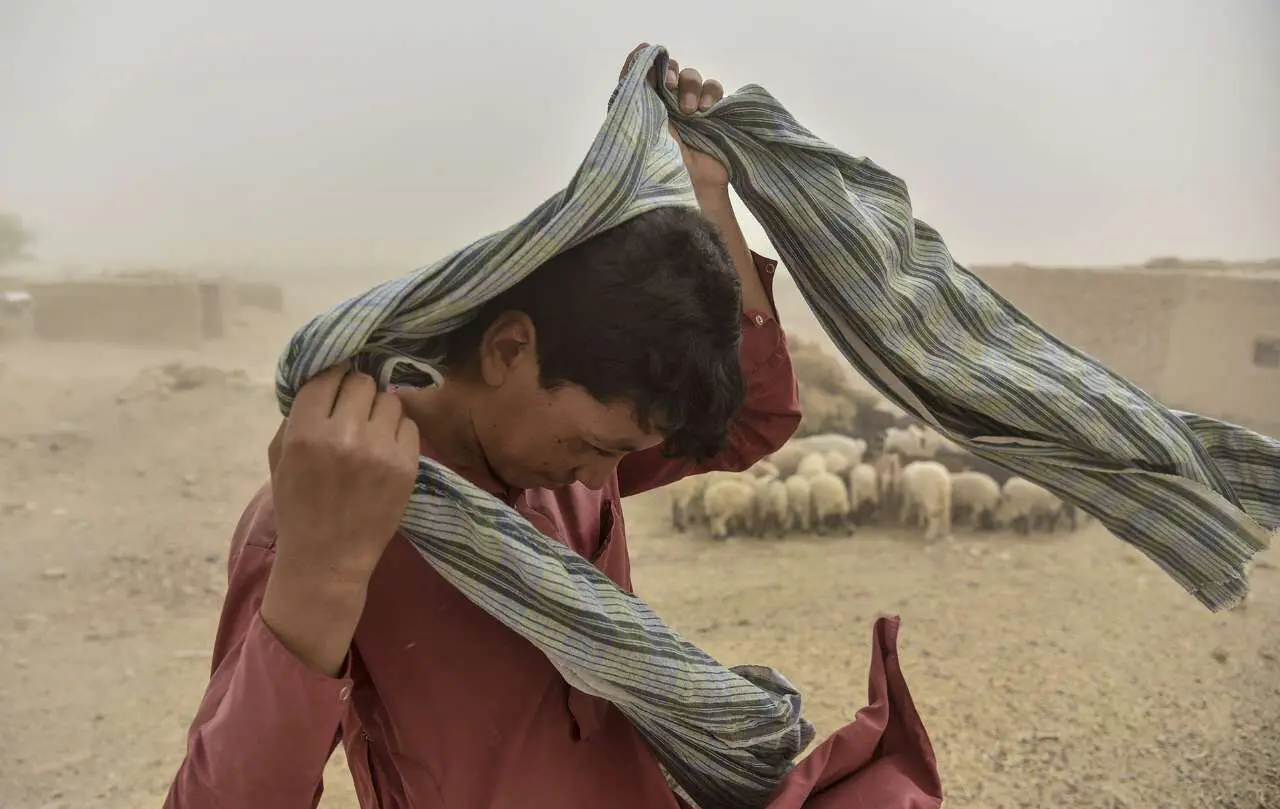 (تصاویر) هجوم شن‌های روان در سیستان و بلوچستان