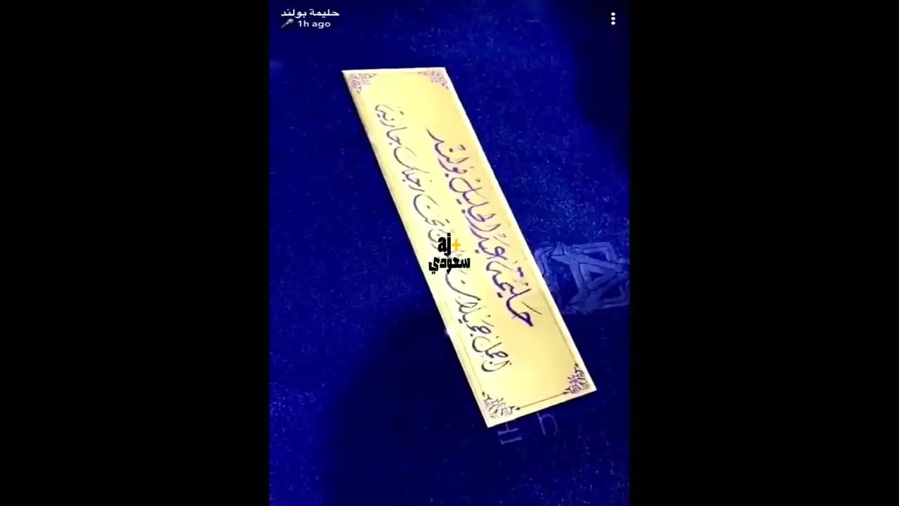 (ویدئو) هدیه "جعلی" پادشاه عربستان به مجری زن جنجالی شد!