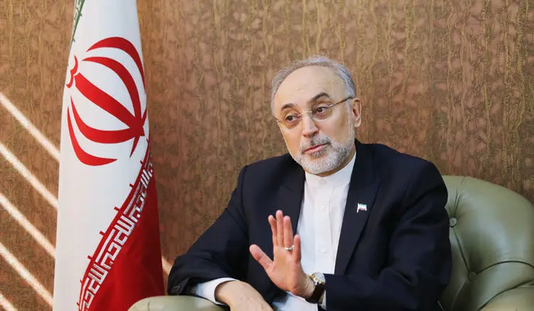 صالحی: از سازمان انرژی اتمی هیچ سندی بیرون نرفته‌ است