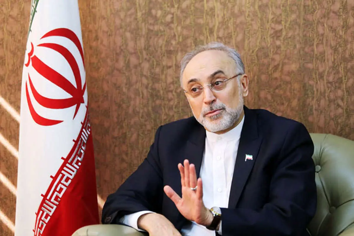 صالحی: از سازمان انرژی اتمی هیچ سندی بیرون نرفته است