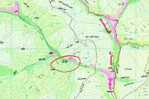 خرس، سگ نگهبان خانه را در یک روستای شمیرانات کشت!