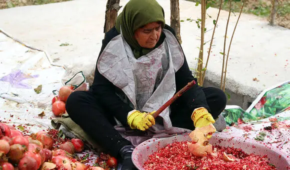 گالری