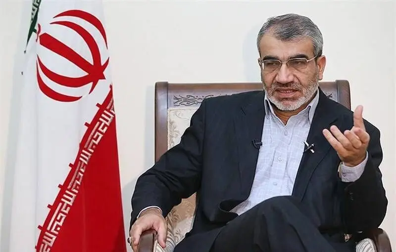 کدخدایی: ایده اولیه "شورای نگهبان" از فرانسه گرفته شده است
