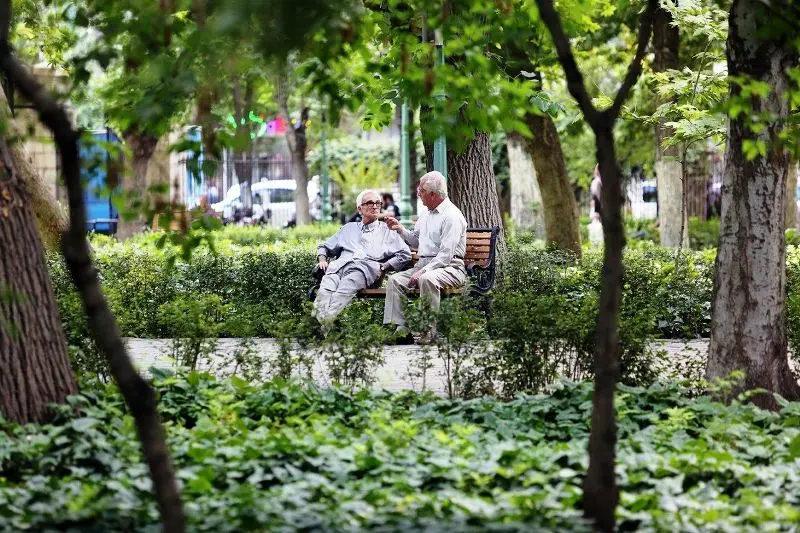پیچ و خم‌های قانون بازنشستگی؛ چرا باید زورکی به خانه فرستادشان؟