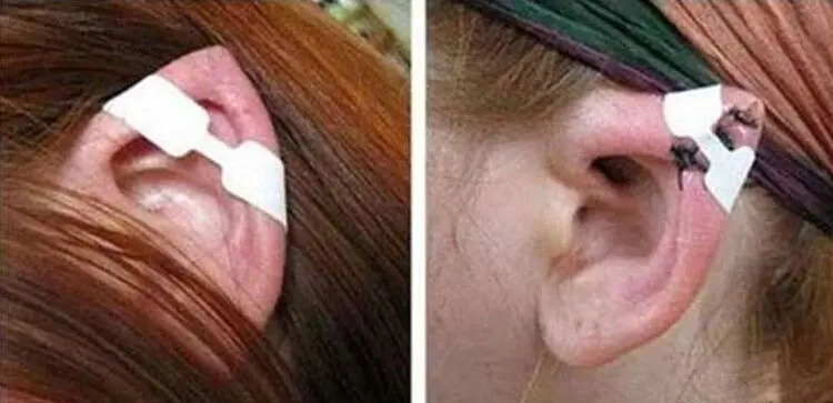 گوش الاغی، چشم گربه‌ای، لب شتری و دماغ خوکی!
