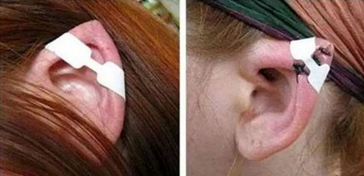 گوش الاغی، چشم گربه‌ای، لب شتری و دماغ خوکی!