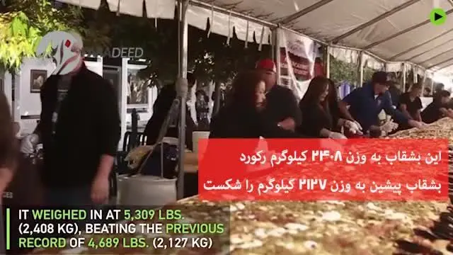 (ویدیو) بزرگترین چیپس و پنیر جهان در جشنواره نیو مکزیکو