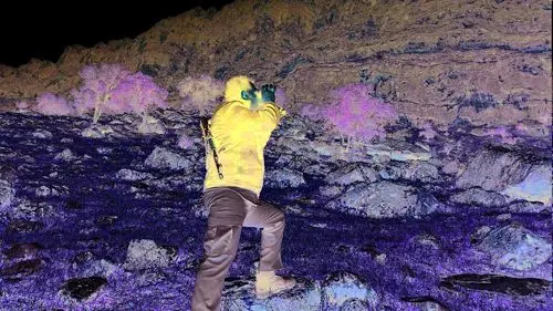 سه محیط‌بان در آستانه اعدام