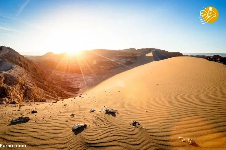 بارش باران پس از ۵۰۰ سال زندگی را در این بیابان از بین برد