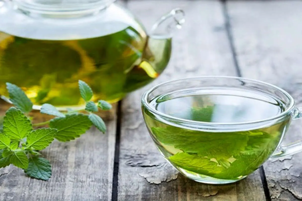 پونه کوهی یک آنتی بیوتیک قوی