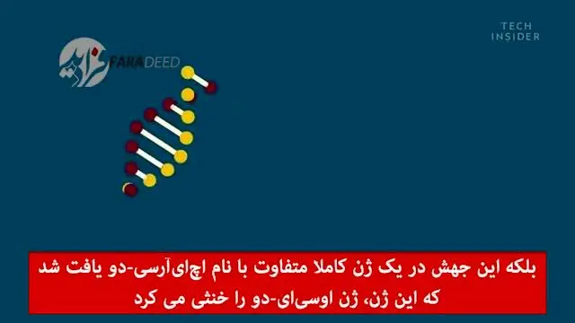 (ویدیو) راز عجیب چشم آبی‌ها؛ پدر مشترک!