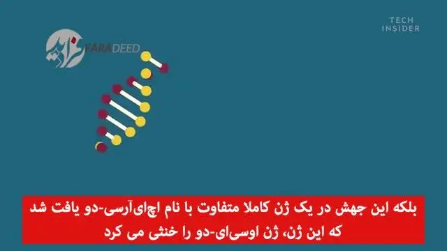 (ویدیو) راز عجیب چشم آبی‌ها؛ پدر مشترک!