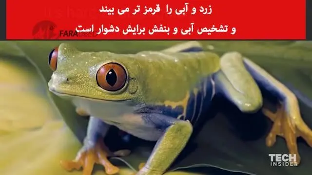 (ویدیو) کسانی که کور رنگی دارند، جهان را چگونه می‌بینند؟