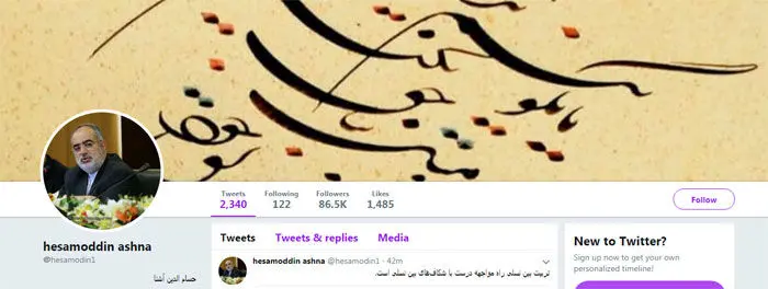 حسام‌الدین آشنا؛ تک تیرانداز دولت در توئیتر