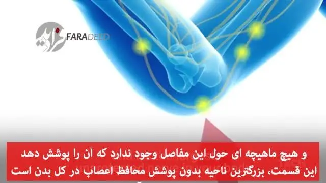 (ویدیو) درد شدید ضربه به آرنج ناشی از چیست؟