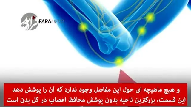 (ویدیو) درد شدید ضربه به آرنج ناشی از چیست؟