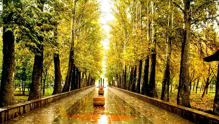 برف و باران در راه ایران