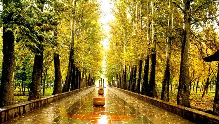 برف و باران در راه ایران