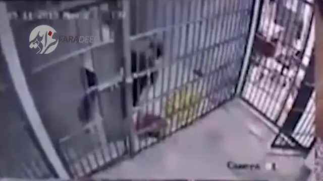 (ویدیو) پلیسی که به دست مجرم زیرک زندانی شد!