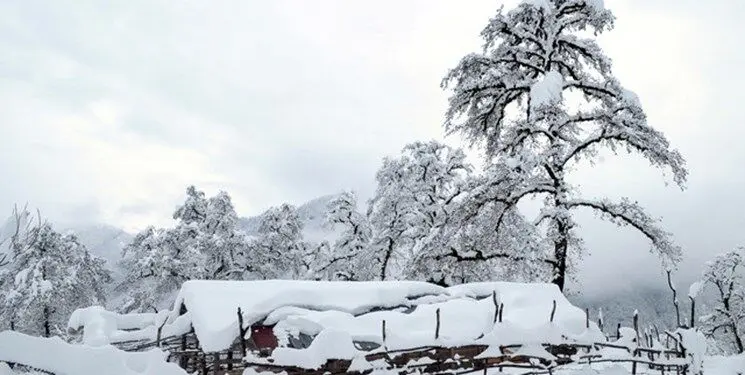 بارش ۲۵ سانتی‌متری برف در مازندران