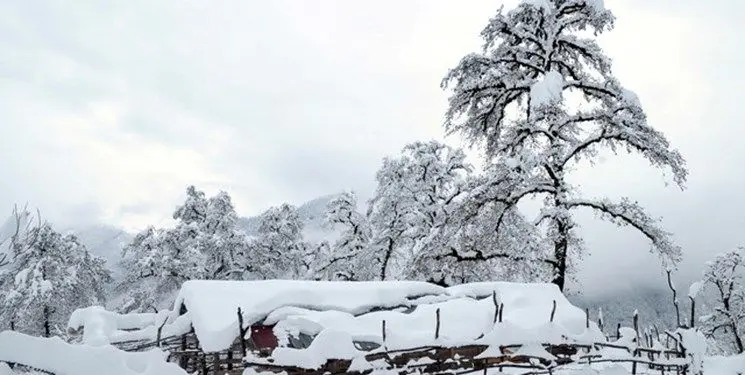 بارش ۲۵ سانتی‌متری برف در مازندران