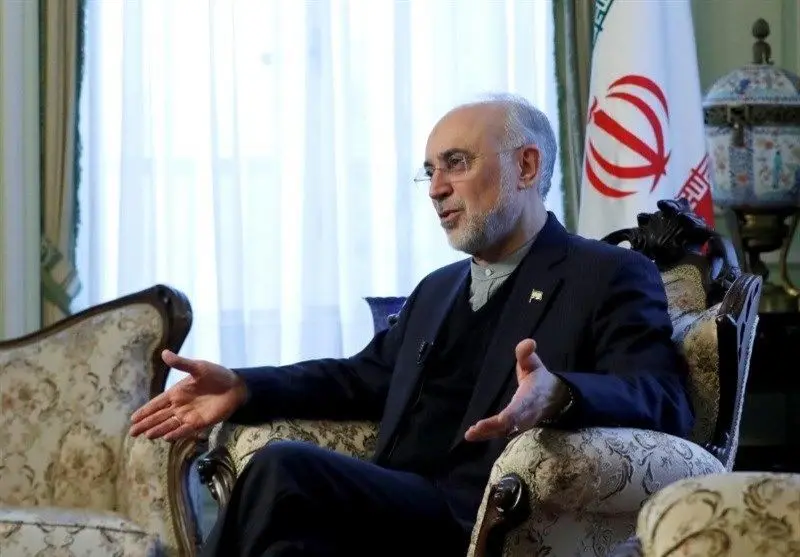 صالحی: اگر نتوانیم نفتمان را بفروشیم، ماندن در برجام مفید نیست