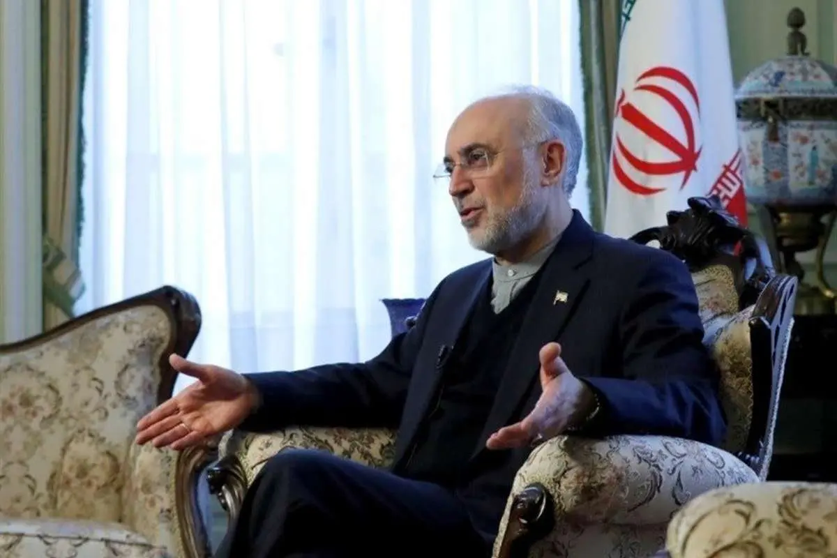 صالحی: اگر نتوانیم نفتمان را بفروشیم، ماندن در برجام مفید نیست