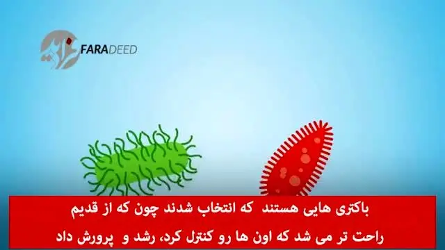(ویدیو) ماست از آنچه فکر می‌کنید مضرتر است!